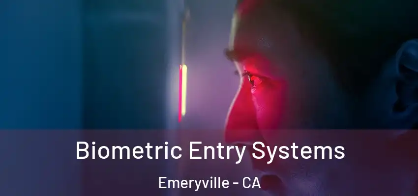  Biometric Entry Systems Emeryville - CA
