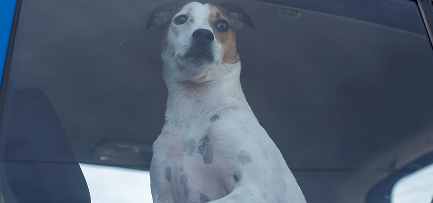 Car Lockout Solutions in Emeryville, California