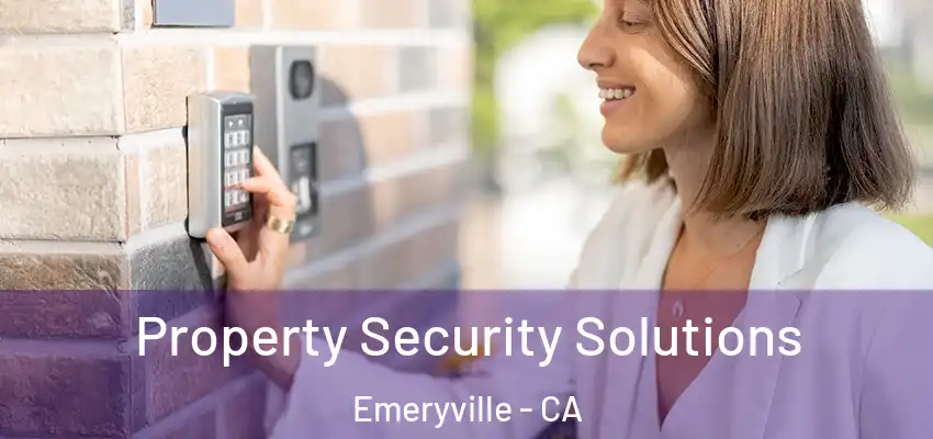  Property Security Solutions Emeryville - CA